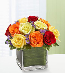 Rainbow of Roses Davenport Florist - Same Day Flower Delivery - Flower Power 